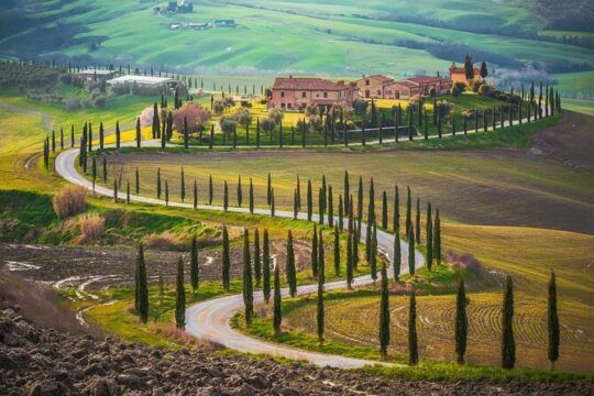 San Gimignano & Monteriggioni from Rome - full day private tour