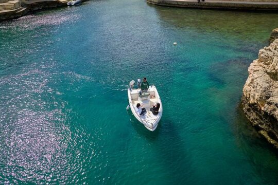 1 Hour and a Half Panoramic Tour of Polignano a Mare by Boat