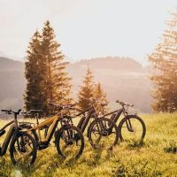 Walking & Biking Tours