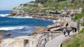 A Fun Way to Get Acquainted with Sydney!