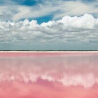 Cruises, Sailing & Water Tours