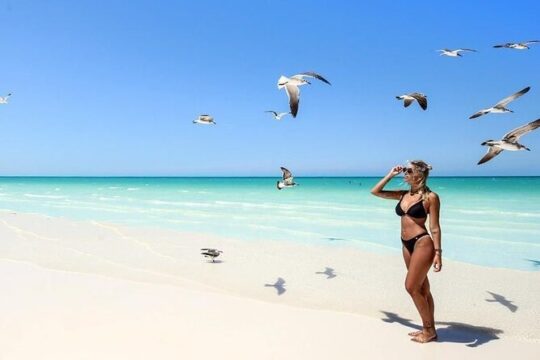 The magical Island of Holbox and Punta Mosquito