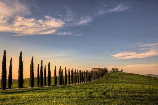 Private Tour: Medieval Val d'Orcia by Minivan from Florence