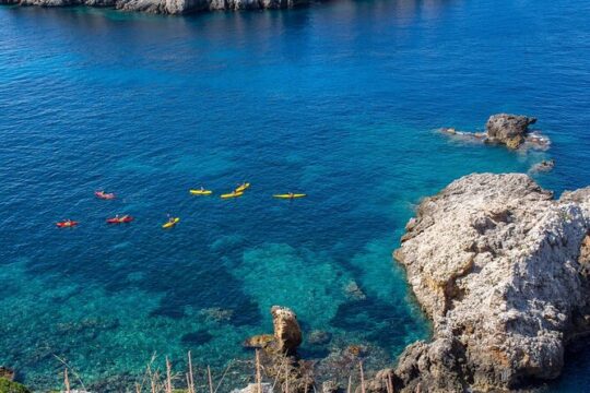 Kayak Tour to Malgrat's Islands from Santa Ponsa