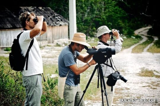 Bird Watching in Sian Ka´an and Muyil Archaeological Site
