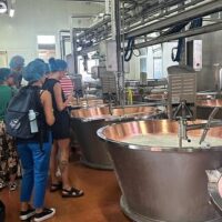 Day Trips & Excursions