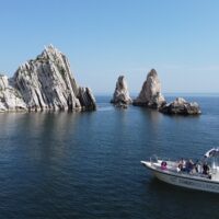 Cruises, Sailing & Water Tours