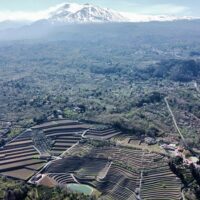 Private Sightseeing Tours