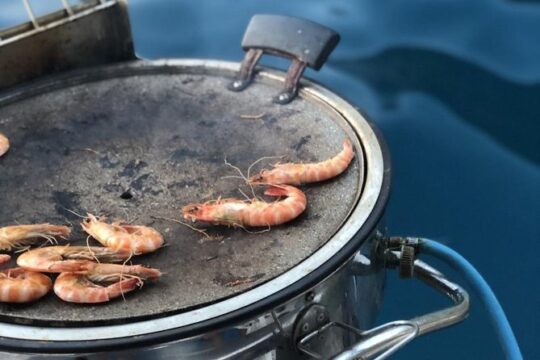 Cinque Terre Lunch boat tour