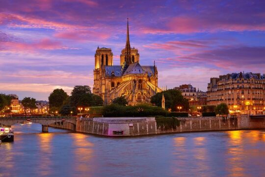 Paris city tour with private guide