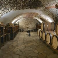 Food, Wine & Nightlife