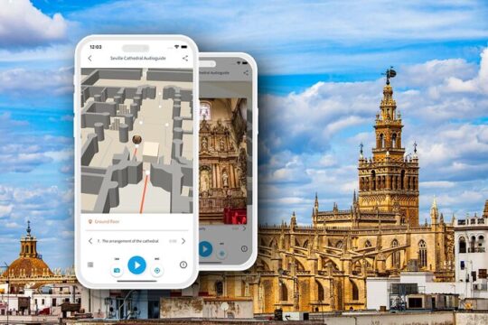 Seville Cathedral Tour with Audioguide (no ticket)