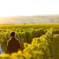 Chocolate Tours