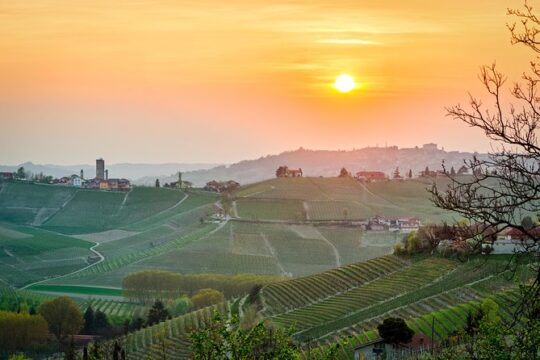 Private Tour: Barolo Wine Tasting in Langhe area from Torino
