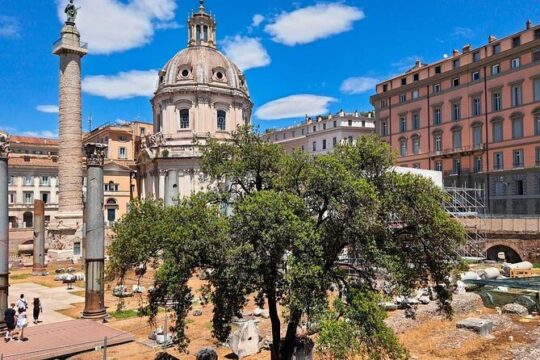 Imperial Forums Special Pass Palatine Hill and Emperors' Palace Private Tour