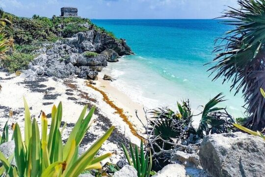 Visit Tulum Mayan Ruin Snorkeling with Turtles with from Cancun