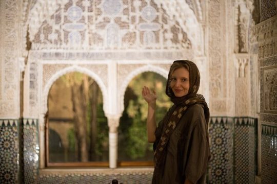 Alhambra Day or Night Private Tour