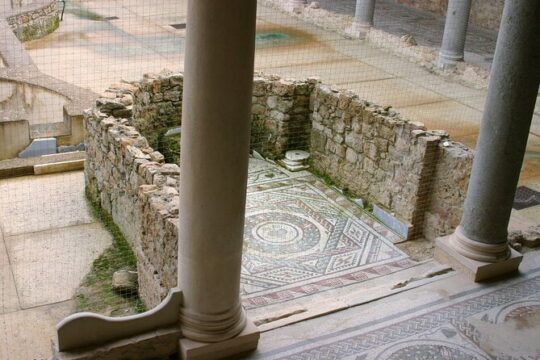 Guided tour of Villa Romana del Casale with skip the line