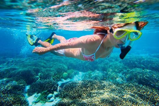 Basic Snorkel Experience in Cancun with Transportation