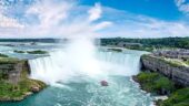 Niagara did not disappoint