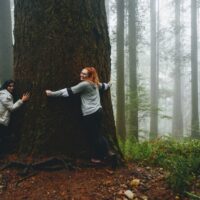 Photography Tours