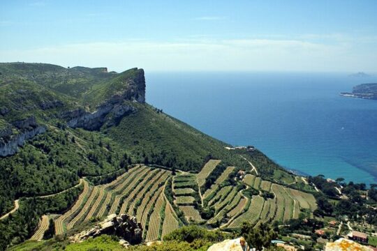 Bandol Wine Tour - 4 hour Private tour