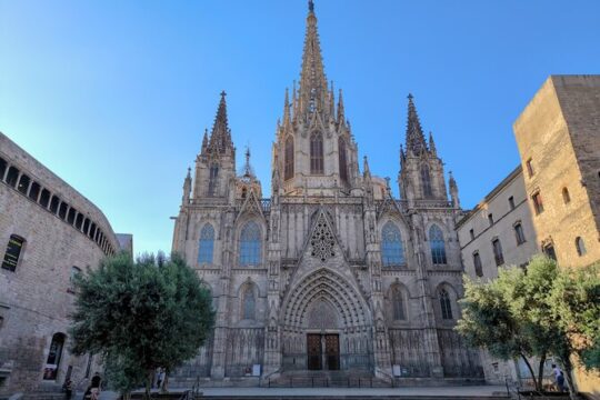 Gothic Quarter and Gaudí Small-Group Tour