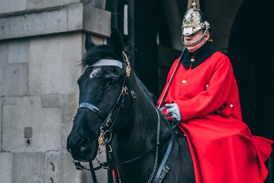 7 Secrets of London's animals