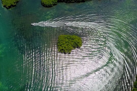 Mangrove Jungle Speedboat Tour in Nichupte Lagoon