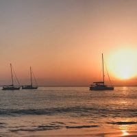 Day Cruises