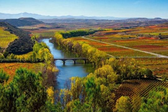 Rioja Alta and Rioja Alavesa Wine Tour