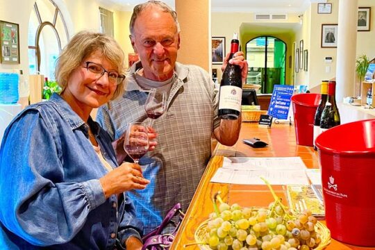 Wines from Châteauneuf-du-Pape and surrounding areas in 1/2 day