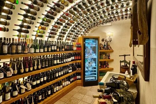 Rome Lunch Food Tasting with Wine Pairing Experience Trastevere