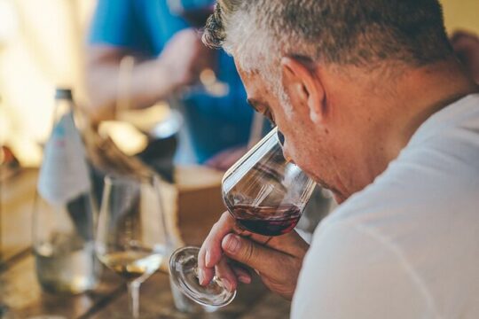Private Langhe and Barolo Wine Tour from Milan