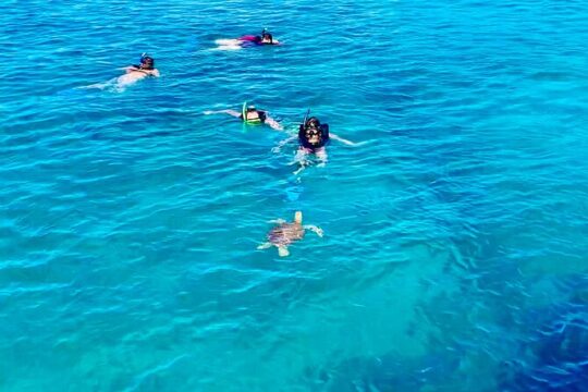 Full day Luxury Catamaran Turtle Snorkel and Beach Getaway