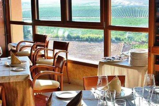 Madrid Wineries Private Tour with Hotel Pickup and Lunch