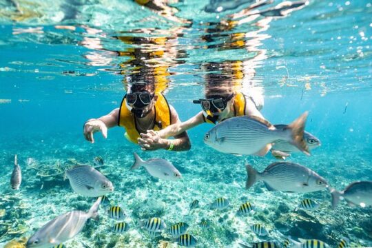 3 in 1 Snorkeling, Parasailing, with Meco Ruins Free