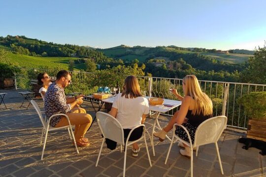 From Bologna: Wine Tasting and Vineyard Tour with the winemaker