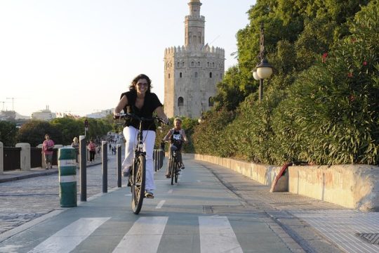 Seville Electric Bike Private Tour