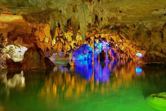 Turtles and Cenote from Cancun