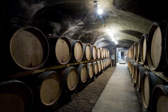 BURGUNDY : Unique Wine Tour from PARIS (Day-trip by TGV - High-speed train)