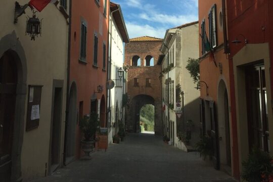 Private Lucca Wine Tour 2 Winery, Lunch and Visit Montecarlo