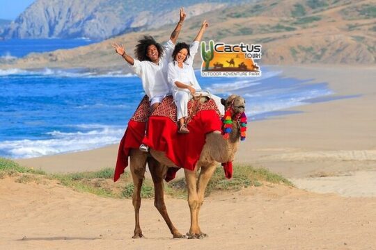 Beach Camel Ride & Encounter in Cabo by Cactus Tours Park