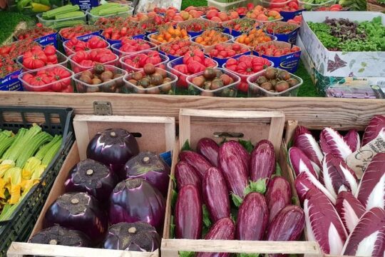 Farmers Market Shopping with Roman Full Course Class - (SHARED)