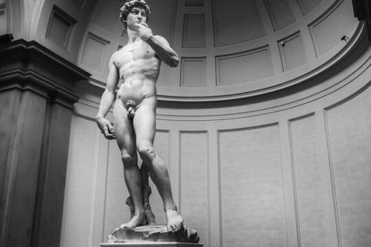 Florence Galleries: Uffizi and Accademia - private tour