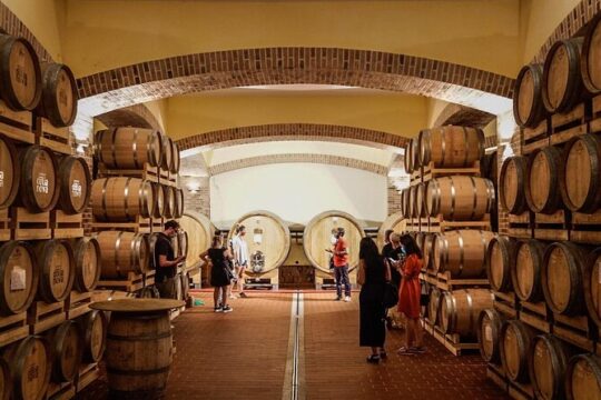 WINE TOUR with sommelier in a winery near Cagliari