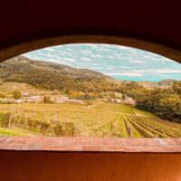 Food, Wine & Nightlife
