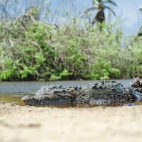 Sustainable Tours
