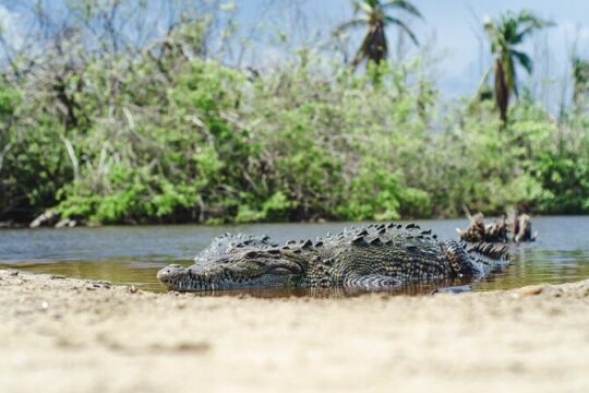 Half-Day Tour to Ventanilla, Mazunte, Zipolite and Puerto Angel
