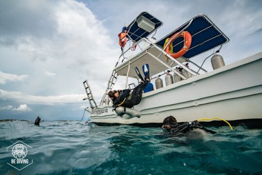 Open Water Course Cozumel